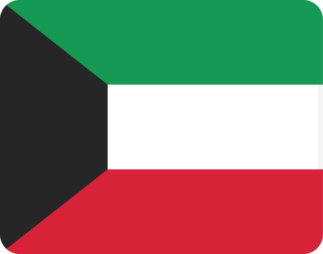 UAE flag